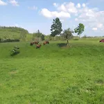 Mit Kamin In Thale-friedrichsbrunn