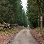 Mit Kamin In Thale-friedrichsbrunn Feriehus *