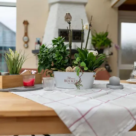 Fenced Garden, Semesterbostad *
