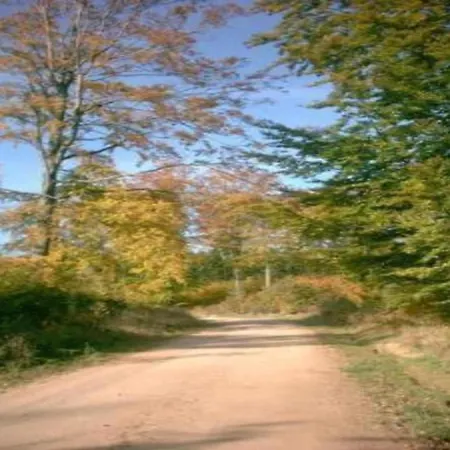 Semesterbostad Fenced Garden,