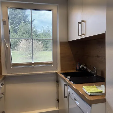 Mit Kamin In Thale-friedrichsbrunn