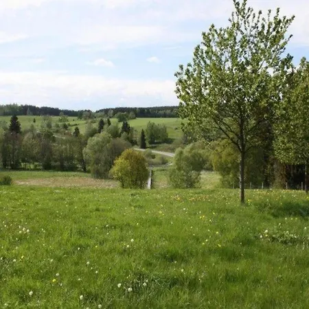 Mit Kamin In Thale-friedrichsbrunn 別荘 *