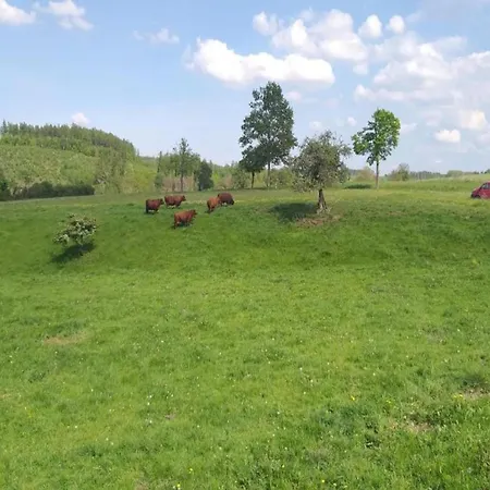 Mit Kamin In Thale-friedrichsbrunn