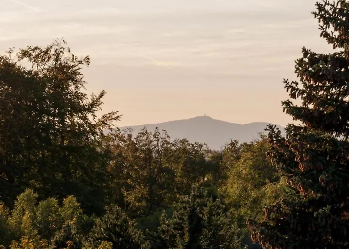 Fenced Garden, Friedrichsbrunn