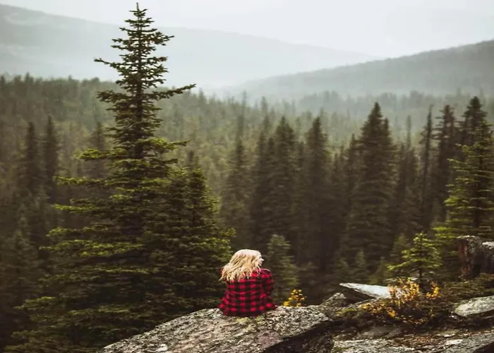 Fenced Garden, Ferienhaus *