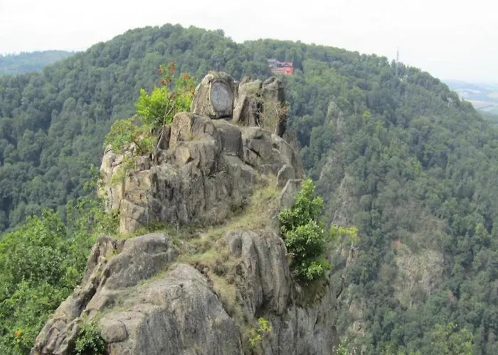 Ferienhaus Fenced Garden, *
