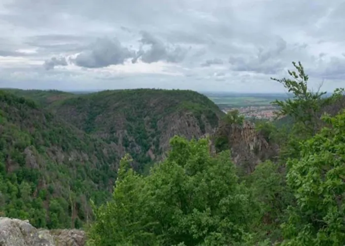 Fenced Garden, Friedrichsbrunn