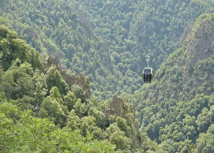 Fenced Garden, Ferienhaus