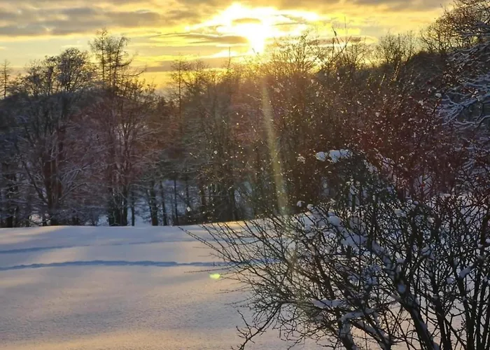 Fenced Garden, Friedrichsbrunn