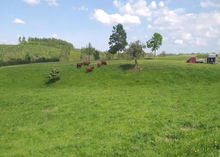 Ferienhaus Mit Kamin In Thale-Friedrichsbrunn