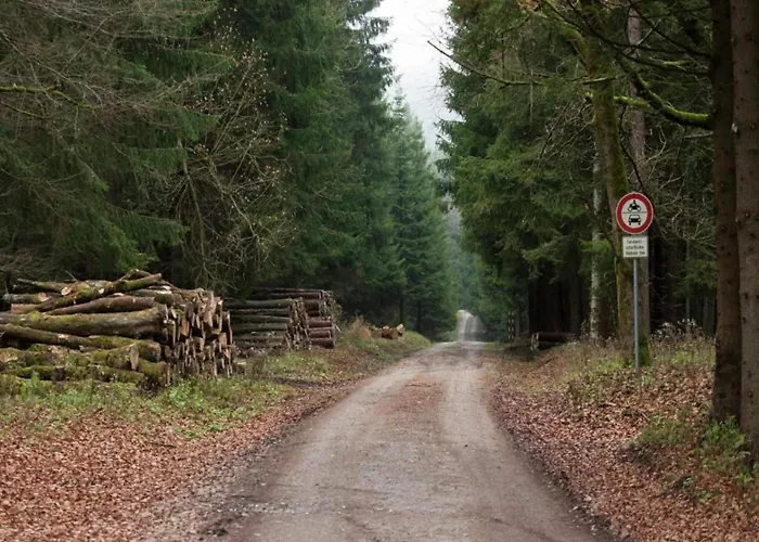 Ferienhaus Mit Kamin In Thale-Friedrichsbrunn 度假居 *